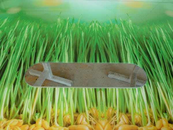 Kchenrckwand Digitaldruck hinter Glas